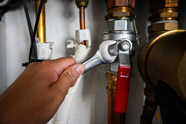 Best Same-Day Plumbing Service  in Ottawa, IL